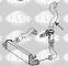 Sasic 3356044