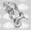 Sasic 3334027