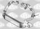 Sasic 3336228