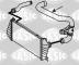 Sasic 3356047